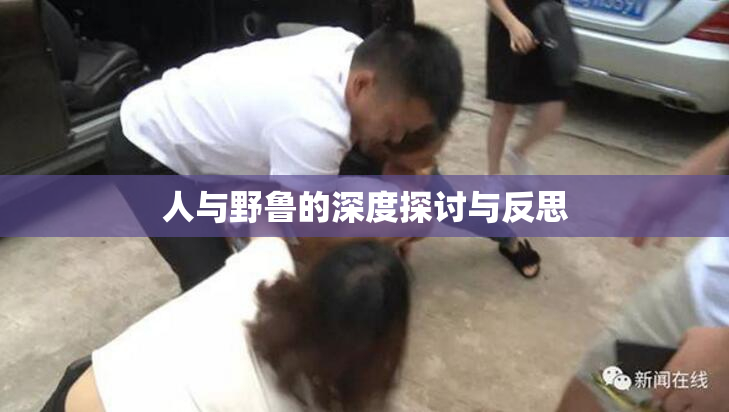 人与野鲁的深度探讨与反思
