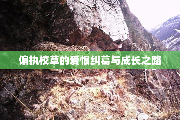 偏执校草的爱恨纠葛与成长之路