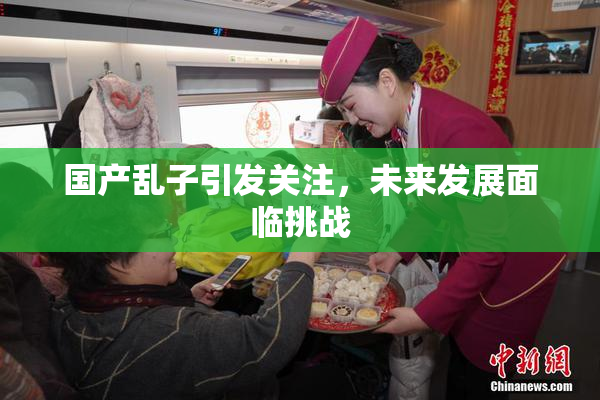 国产乱子引发关注，未来发展面临挑战