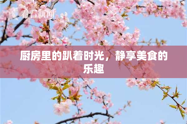 厨房里的趴着时光，静享美食的乐趣