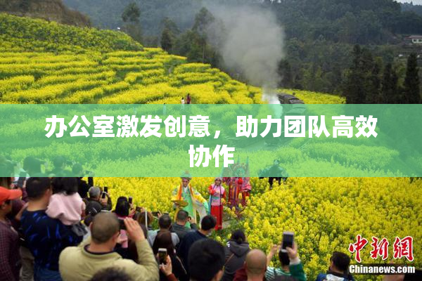 办公室激发创意，助力团队高效协作