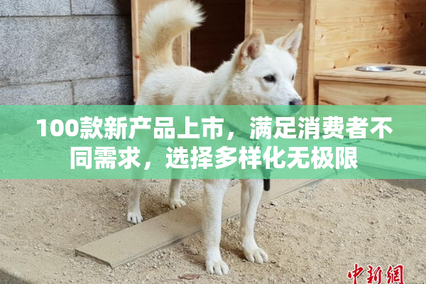 100款新产品上市，满足消费者不同需求，选择多样化无极限