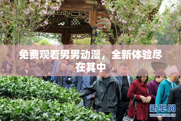 免费观看男男动漫，全新体验尽在其中