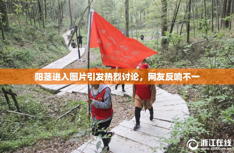 阳茎进入图片引发热烈讨论，网友反响不一