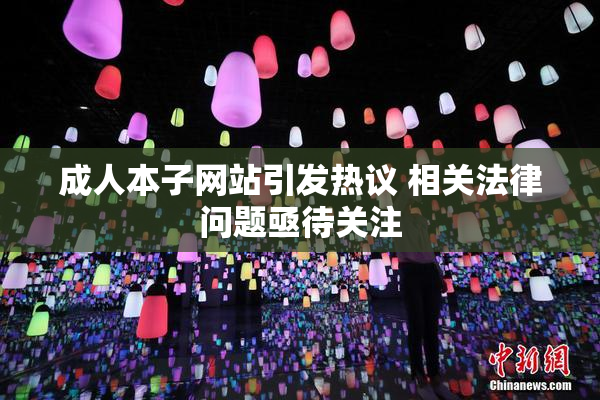 成人本子网站引发热议 相关法律问题亟待关注