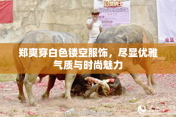 郑爽穿白色镂空服饰，尽显优雅气质与时尚魅力