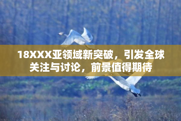 18XXX亚领域新突破，引发全球关注与讨论，前景值得期待