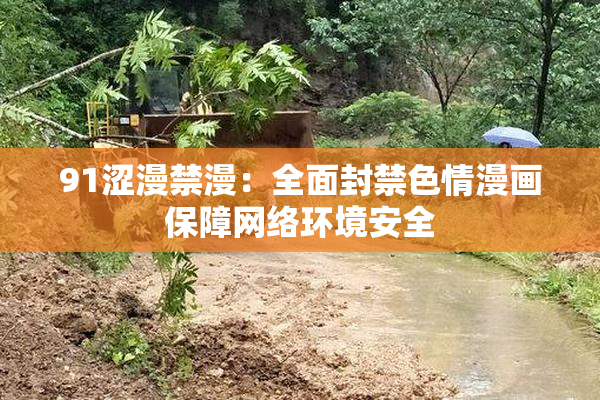 91涩漫禁漫：全面封禁色情漫画保障网络环境安全