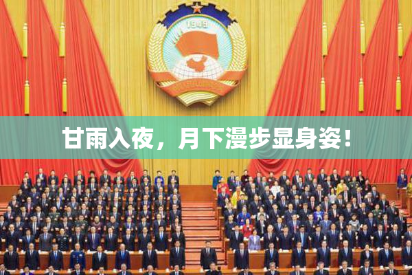 甘雨入夜，月下漫步显身姿！