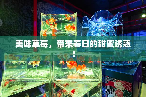 美味草莓，带来春日的甜蜜诱惑！