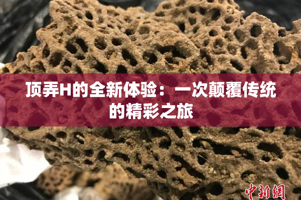 顶弄H的全新体验：一次颠覆传统的精彩之旅
