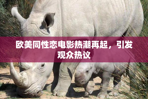 欧美同性恋电影热潮再起，引发观众热议