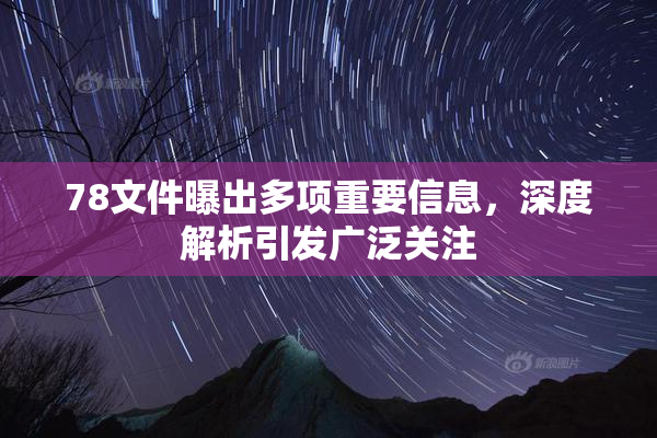 78文件曝出多项重要信息，深度解析引发广泛关注