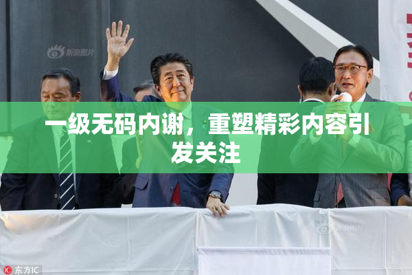 一级无码内谢，重塑精彩内容引发关注