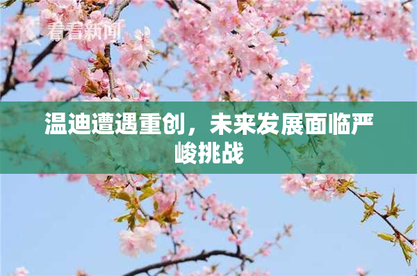 温迪遭遇重创，未来发展面临严峻挑战