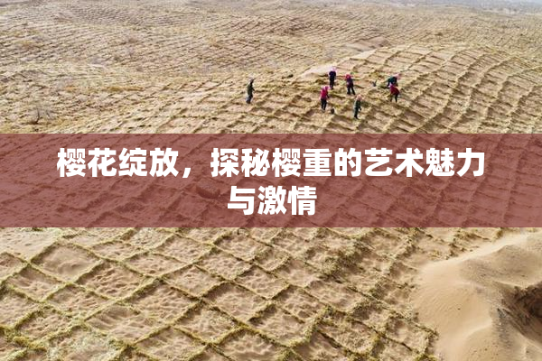 樱花绽放，探秘樱重的艺术魅力与激情