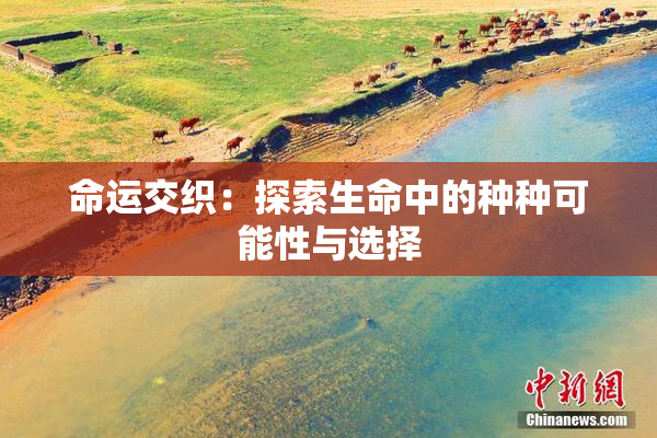 命运交织：探索生命中的种种可能性与选择