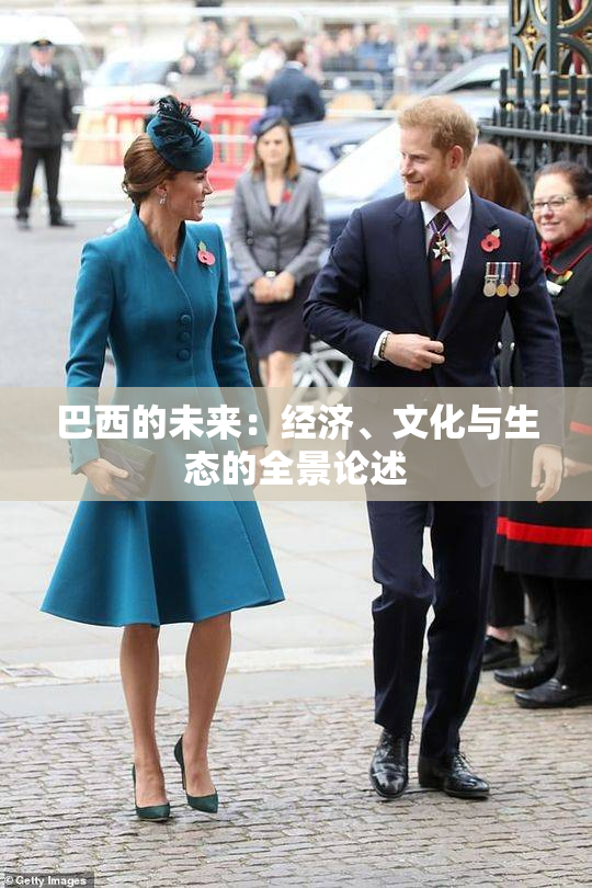 巴西的未来：经济、文化与生态的全景论述
