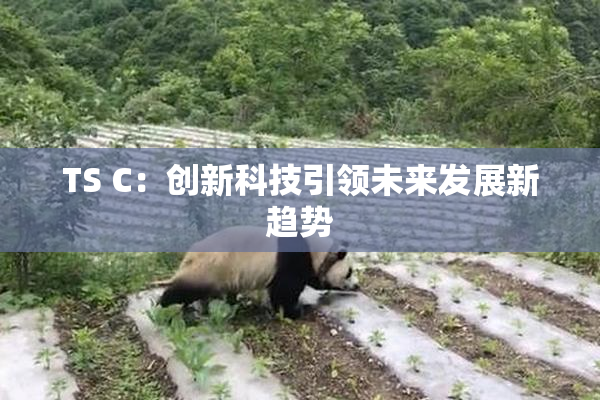 TS C：创新科技引领未来发展新趋势