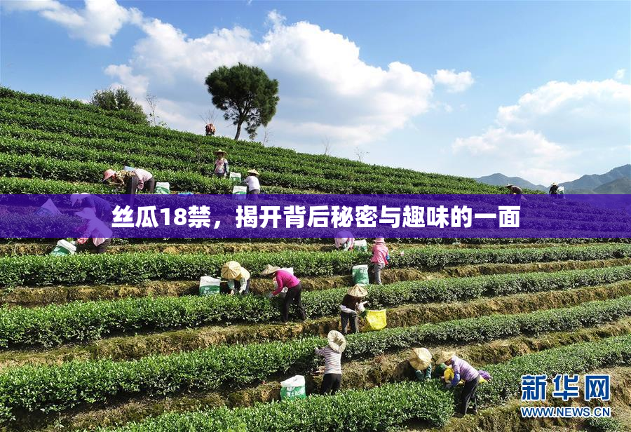 丝瓜18禁，揭开背后秘密与趣味的一面