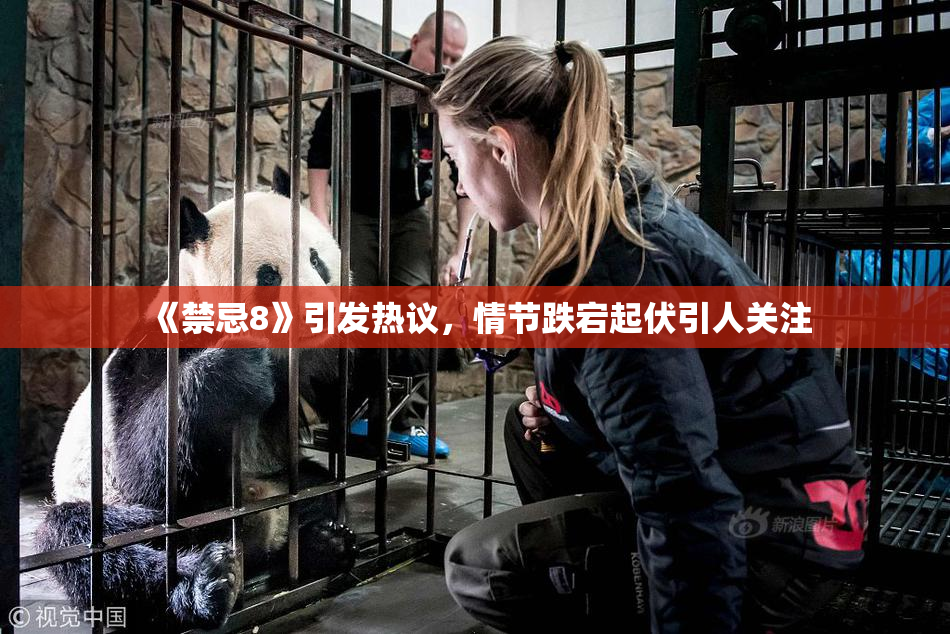 《禁忌8》引发热议，情节跌宕起伏引人关注