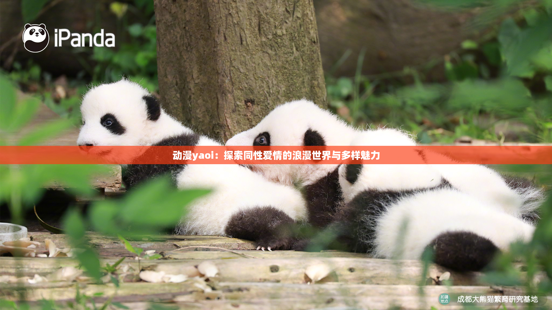 动漫yaoi：探索同性爱情的浪漫世界与多样魅力