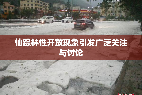 仙踪林性开放现象引发广泛关注与讨论