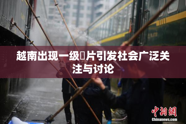 越南出现一级婬片引发社会广泛关注与讨论