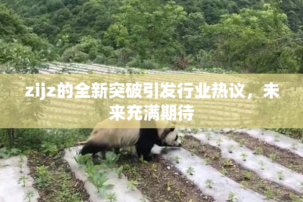 zijz的全新突破引发行业热议，未来充满期待