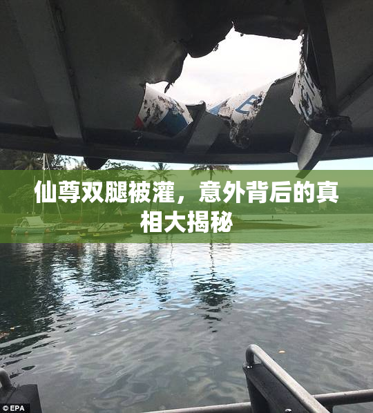 仙尊双腿被灌，意外背后的真相大揭秘