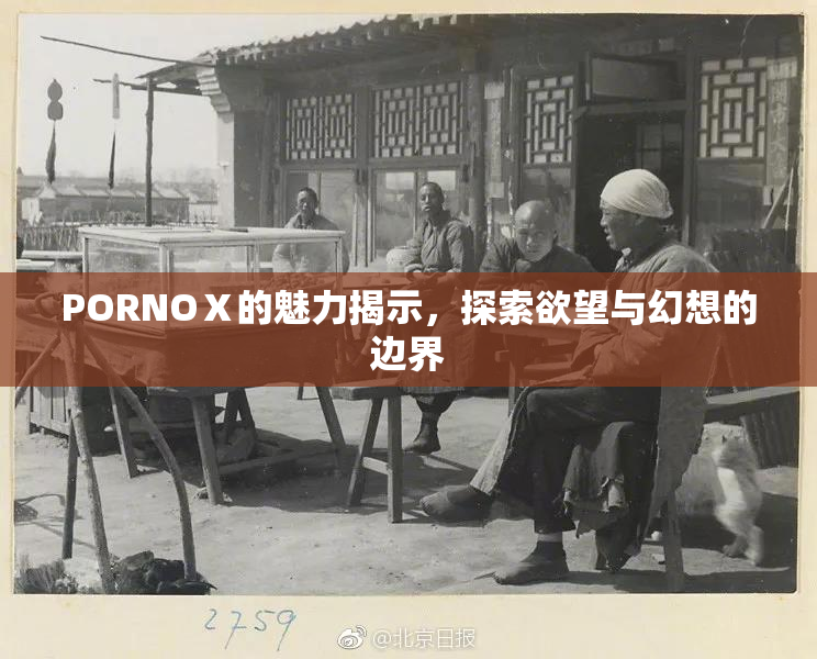 PORNOⅩ的魅力揭示，探索欲望与幻想的边界