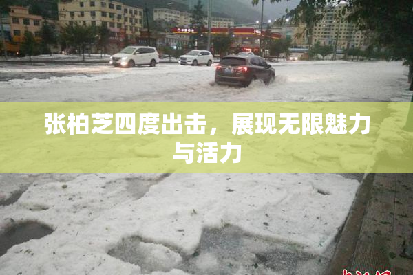 张柏芝四度出击，展现无限魅力与活力