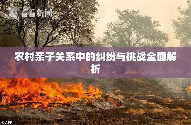 农村亲子关系中的纠纷与挑战全面解析