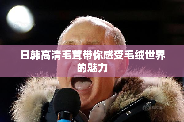 日韩高清毛茸带你感受毛绒世界的魅力