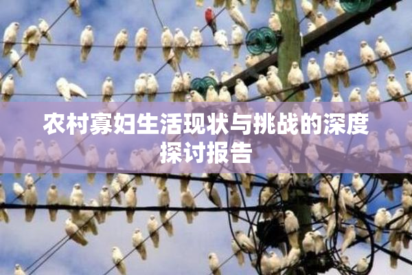 农村寡妇生活现状与挑战的深度探讨报告