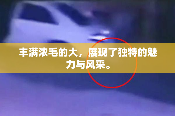 丰满浓毛的大，展现了独特的魅力与风采。
