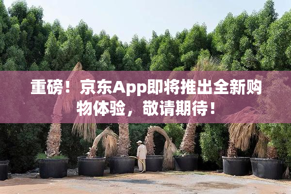 重磅！京东App即将推出全新购物体验，敬请期待！