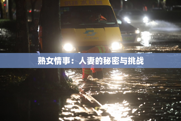 熟女情事：人妻的秘密与挑战