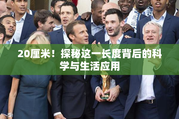 20厘米！探秘这一长度背后的科学与生活应用