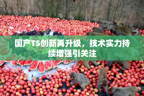 国产TS创新再升级，技术实力持续增强引关注