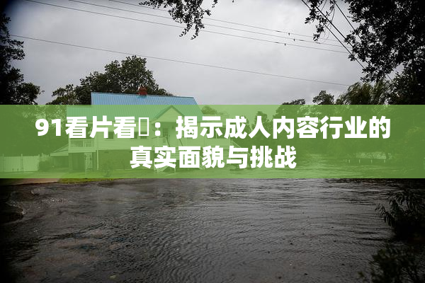 91看片看婬：揭示成人内容行业的真实面貌与挑战