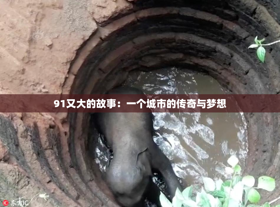91又大的故事：一个城市的传奇与梦想
