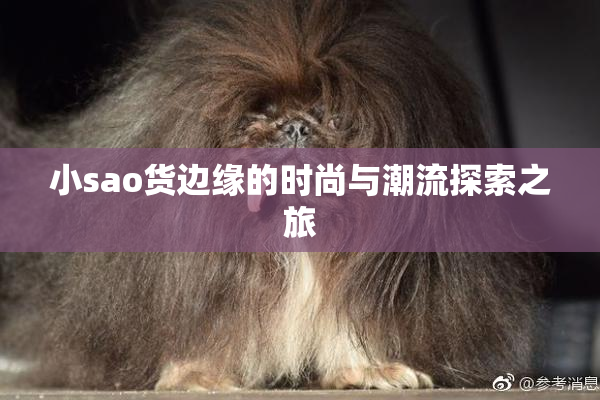 小sao货边缘的时尚与潮流探索之旅
