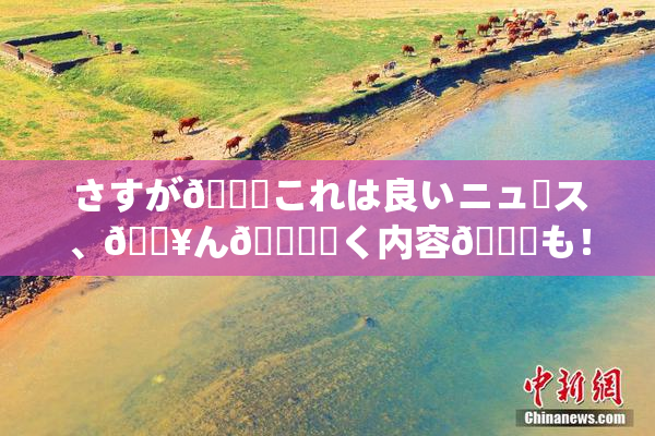さすが🎆これは良いニュース、🔥ん🍑驚く内容💋も！