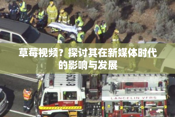 草莓视频？探讨其在新媒体时代的影响与发展