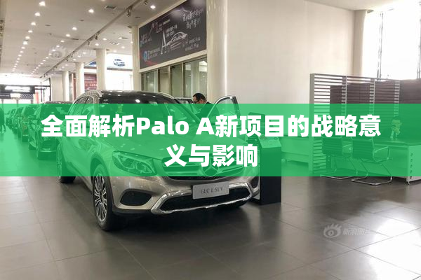 全面解析Palo A新项目的战略意义与影响