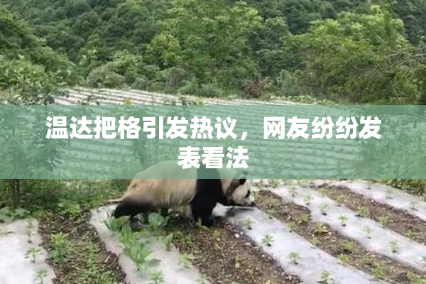 温达把格引发热议，网友纷纷发表看法