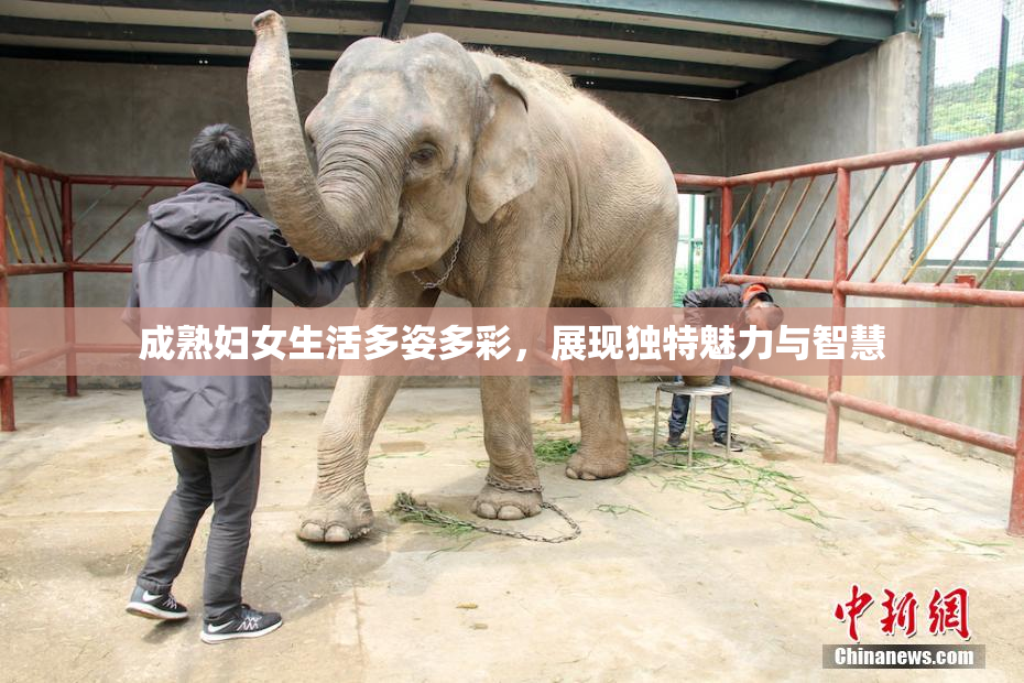 成熟妇女生活多姿多彩，展现独特魅力与智慧