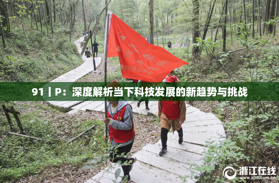 91丨P：深度解析当下科技发展的新趋势与挑战