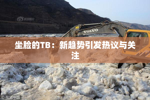 坐脸的TB：新趋势引发热议与关注